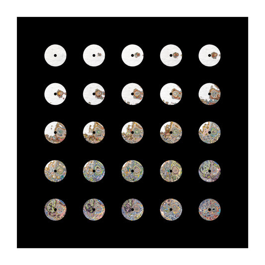 Time-Lapse² 1CO-2511XP
